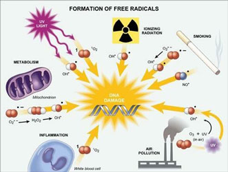 diabetes radikal bebas